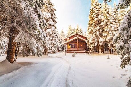 Uludağ Kayak Turu / 1 Gece Otel Konaklaması