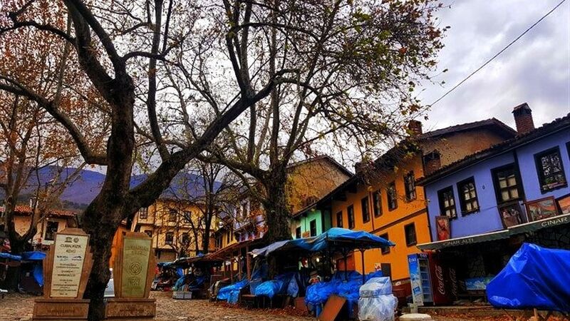 Günübirlik Cumalıkızık Gölyazı Mudanya Trilye Turu | İstanbul Çıkışlı