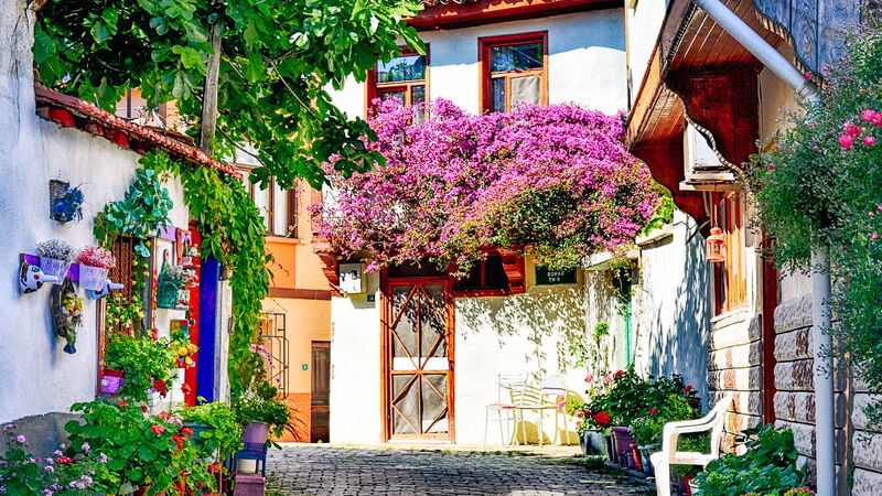 Günübirlik Cumalıkızık Gölyazı Mudanya Trilye Turu | İstanbul Çıkışlı