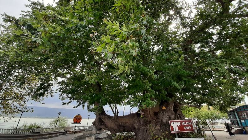 İzmir Çıkışlı | Bursa Uludağ Turu | Bursa Baia Otelde 1 Gece Konaklamalı