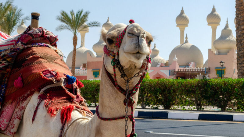 Sharm El Sheikh Turu Ajet Havayolları ile 4 Gece Her Şey Dahil Oteller