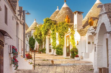 * TÜM TURLAR DAHİL * - PUGLIA - (4 GECE - 5 GÜN) - THY - 2026