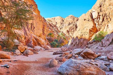 Promosyon Sharm El Sheikh Turu Ajet Havayolları ile 6 Gece Transfer Saatine Kadar Otel Kullanımlı