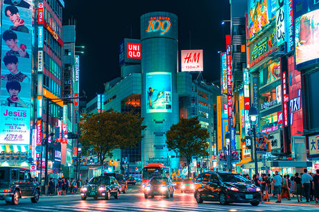 Japonya Turu 8 Gece – 10 Gün Miat Hava Yolları ile