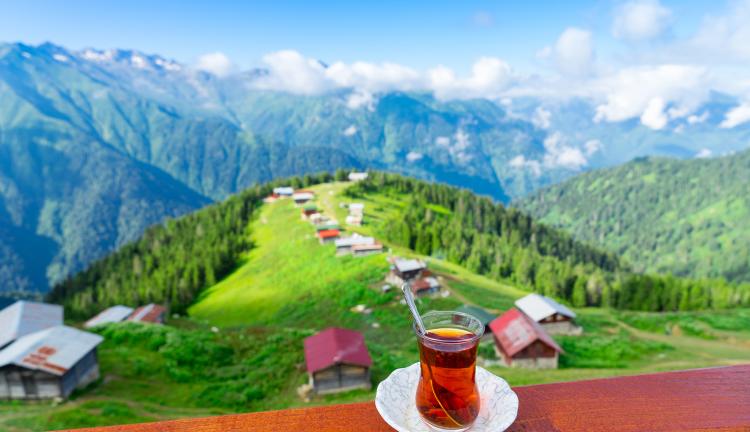 Uçaklı Doğu Karadeniz Yaylalar ve Batum Turu 4 Gece Otel Konaklamalı