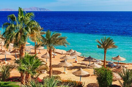 Sharm El Sheikh Turu Pegasus Havayolları ile 3 Gece 5 Gün SSH-SSH IS001